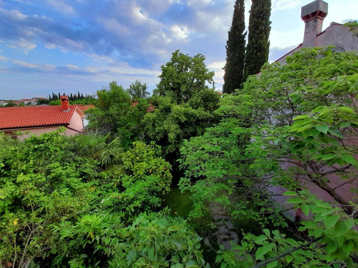 Traditional Istrian Stone House Šmarje Dış mekan fotoğraf
