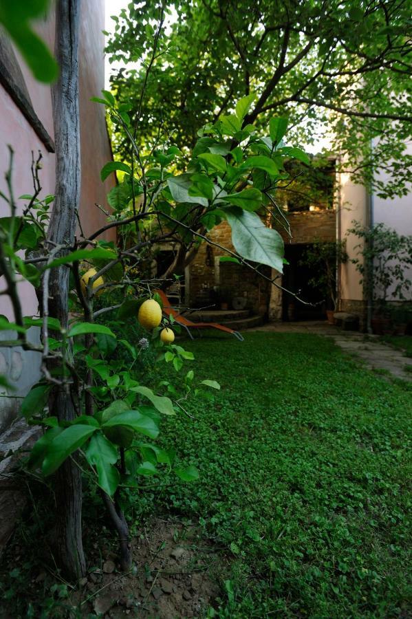 Traditional Istrian Stone House Šmarje Dış mekan fotoğraf
