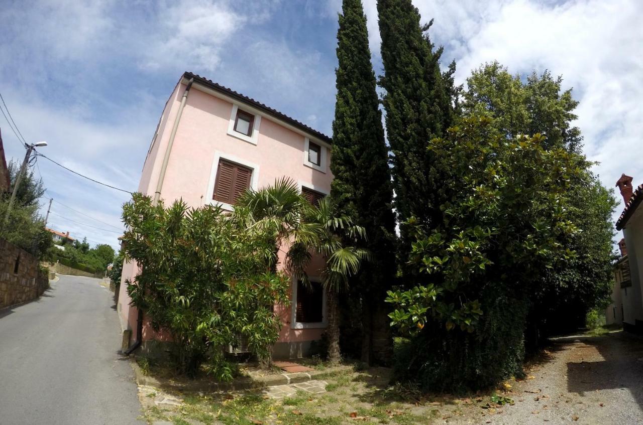 Traditional Istrian Stone House Šmarje Dış mekan fotoğraf